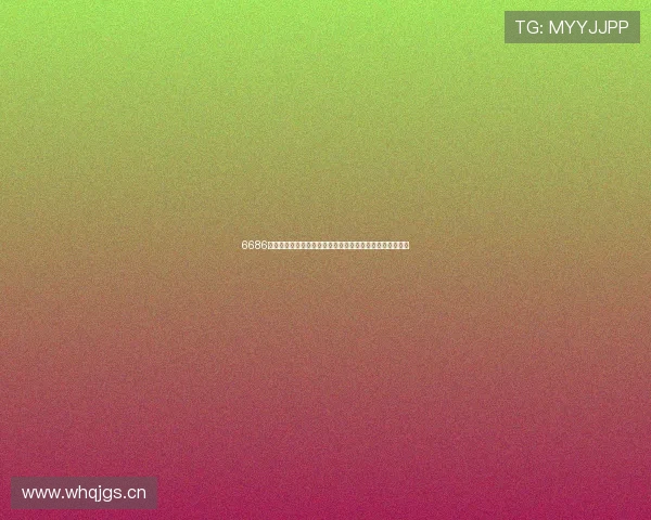 6686手机端入口全新升级指南畅享极速访问体验与安全登录服务